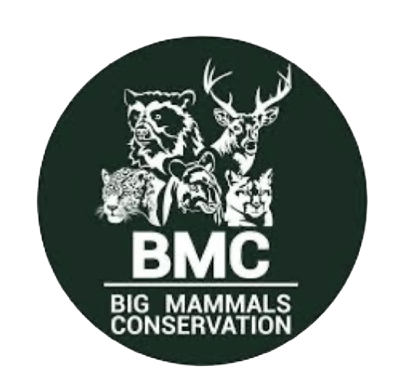 Logo BMC